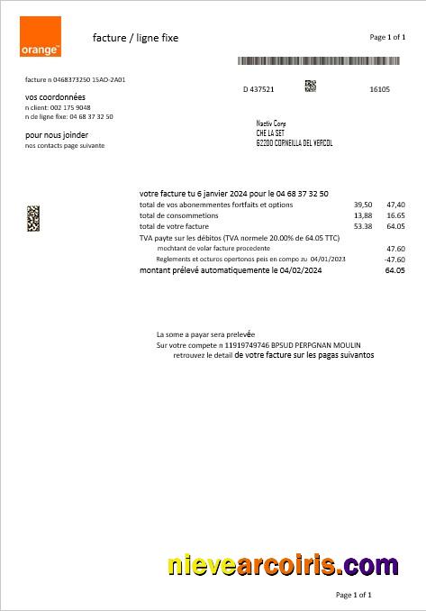 France Orange business utility bill
